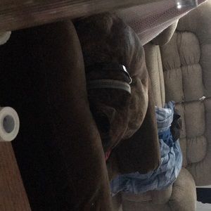 Meet your Posher, Kenneth